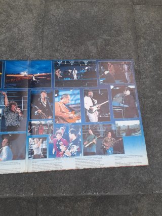 Doble Vinilo Knebworth