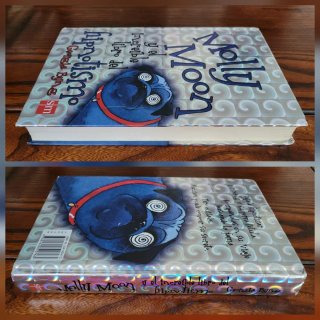 Molly Moon y el increible libro del hipnotismo