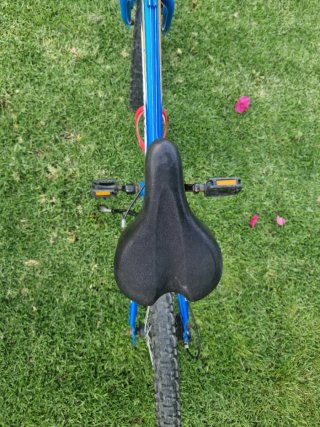 Bicicleta Infantil 20 Boomerang