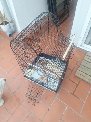Jaula para pájaros negra