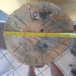 Tocón de madera de pino