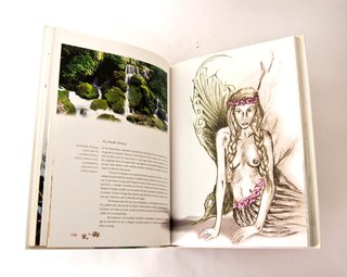 EL GRAN LIBRO DE LAS HADAS