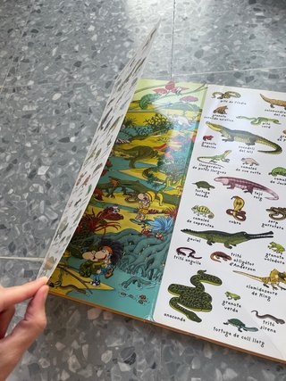 Lote 3 Libros Infantiles en Catalan