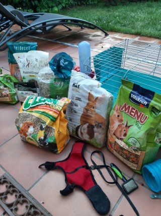 Lote conejo/cobaya: jaula, accesorios y comida