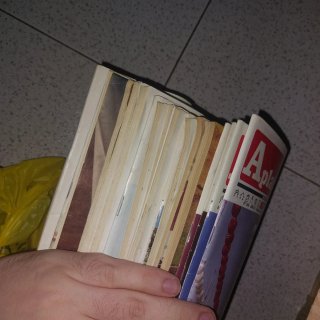 +20 revistas taurinas, Aplausos