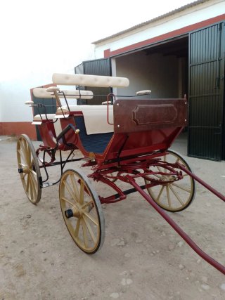 Coche de caballos clásico