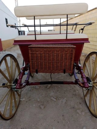 Coche de caballos clásico