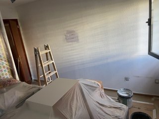 Pintor Económico