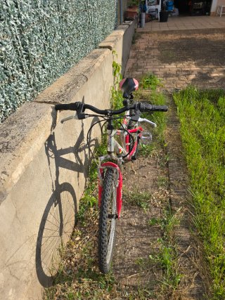 Bicicleta Topbike se regala candado