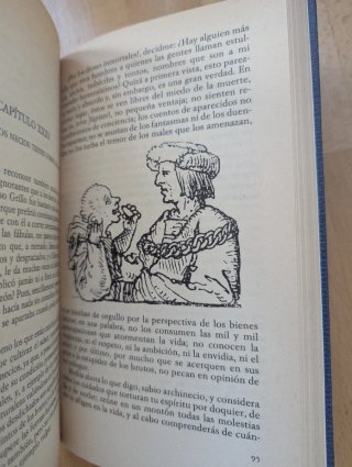 Elogia de la locura - Erasmo de Rotterdam