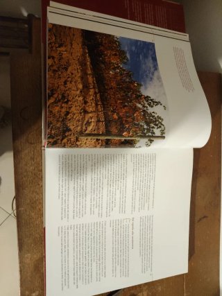 Arte di vino rossi e bianchi d'eccellenza