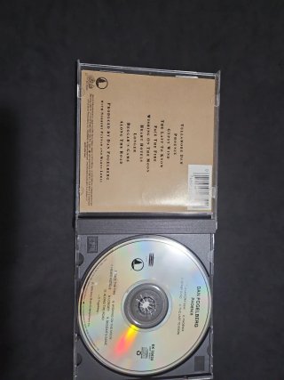 CD Dan Fogelberg - Phoenix