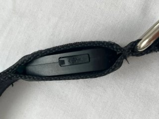 Collar LED para Perro Azul y Negro
