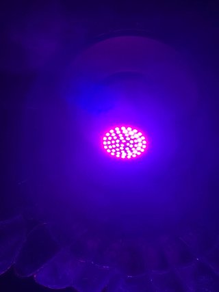 Lampada LED per coltivazione piante