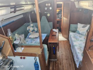 Sandler 32 Velero Inglés