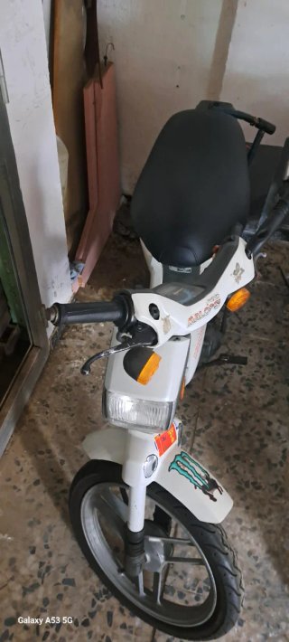 Honda wallaroo
