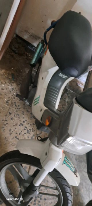 Honda wallaroo