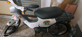 Honda wallaroo