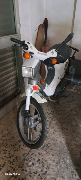 Honda wallaroo
