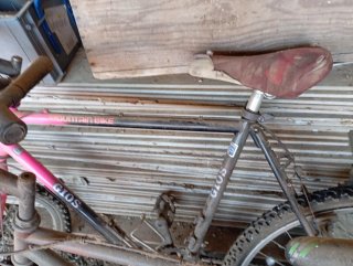 5 Bici Vintage