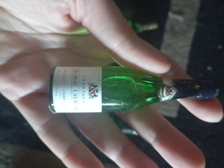 5 mini bottiglie di Champagne da collezione