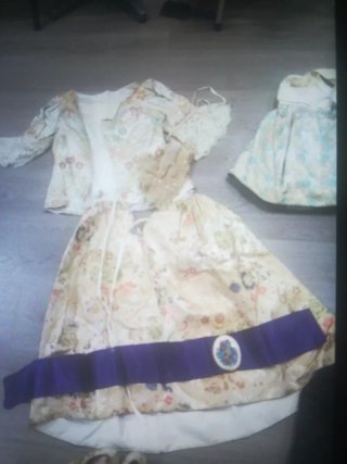 Traje de Fallera Multicolor