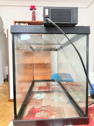 Acuario 85L