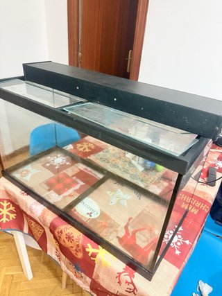Acuario 85L
