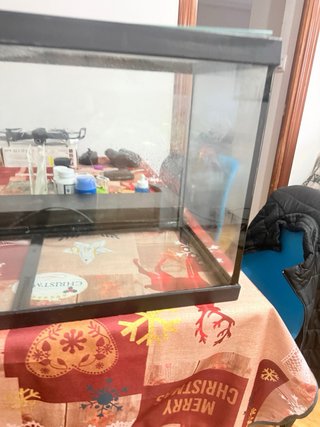 Acuario 85L