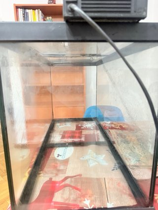 Acuario 85L