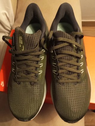 Nike Air Zoom Pegasus 39 Verde Talla 40.5