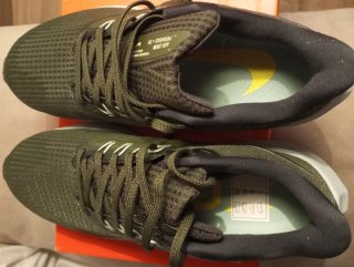 Nike Air Zoom Pegasus 39 Verde Talla 40.5