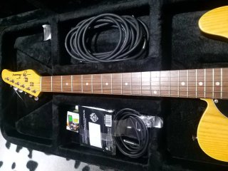 Guitarra Eléctrica Jay Turser