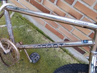 Bicicleta Torrot Eldorado