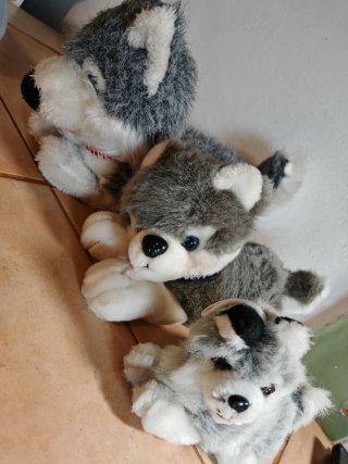 Lote peluches Husky