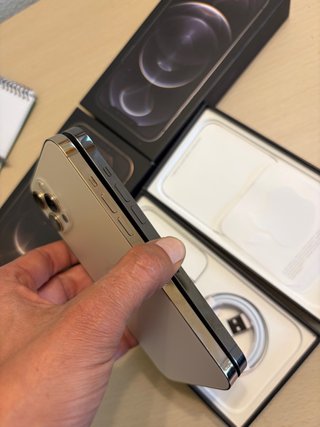 iPhone 12 Pro Max Grafito y Dorado