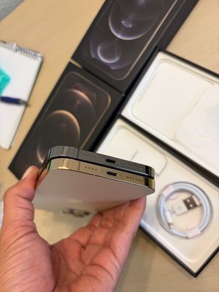 iPhone 12 Pro Max Grafito y Dorado