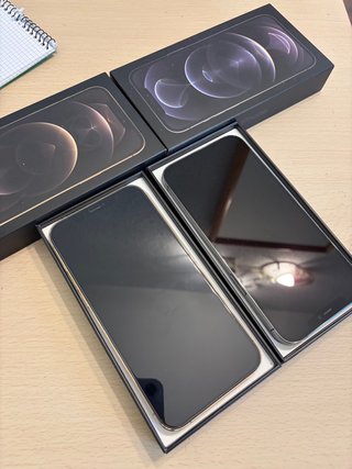 iPhone 12 Pro Max Grafito y Dorado