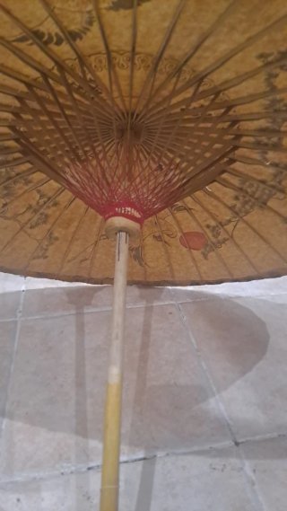 PARAGUAS CHINOS ECOLÓGICOS