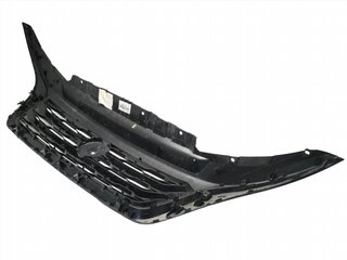 Rejilla Radiador Fiat Ducato III Fase 3