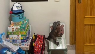 Muebles de Almacenamiento Infantil