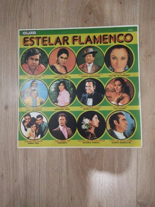 Lote 9 Vinilos Flamenco y Copla