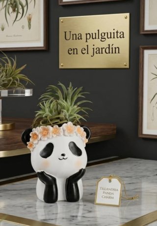 Maceta Panda con Tillandsia