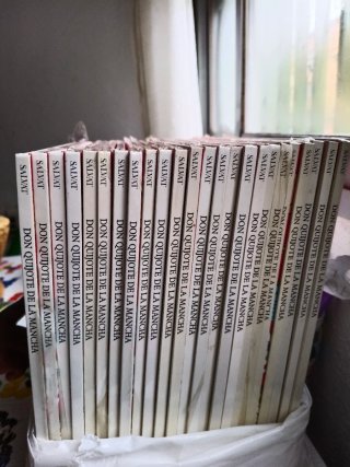 DON QUIJOTE DE LA MANCHA