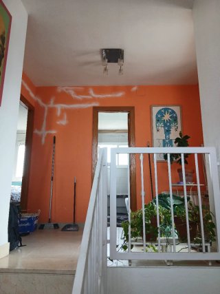 Servicio de pintura profesional