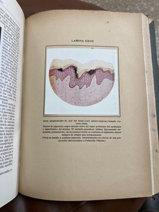 Los Progresos de la Clínica (1916) – Libro médico