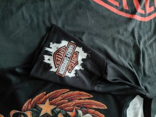 Camiseta Harley Davidson pone XL creo que es  L