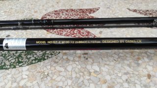 Caña de pesca Daiwa Graphite