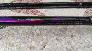 Caña de pesca Daiwa Graphite