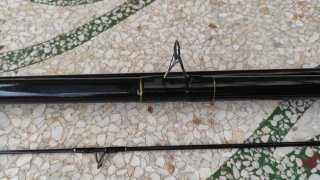 Caña de pesca Daiwa Graphite